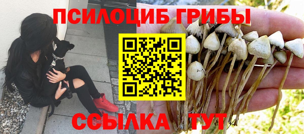 купить   Псилоцибиновые грибы Cubensis  Вход с VPN  Гулькевичи 
