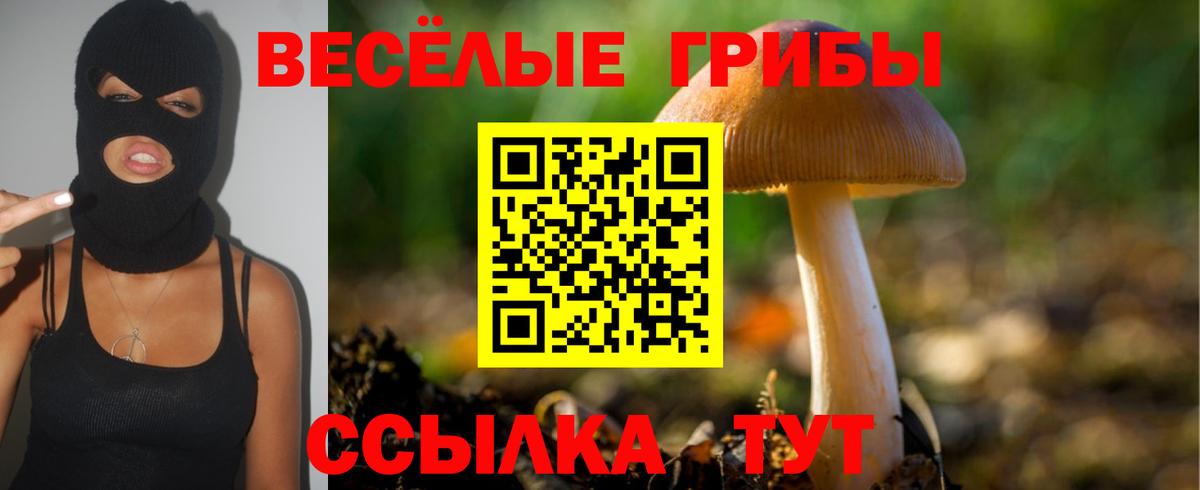 Псилоцибиновые грибы ЛСД Гулькевичи